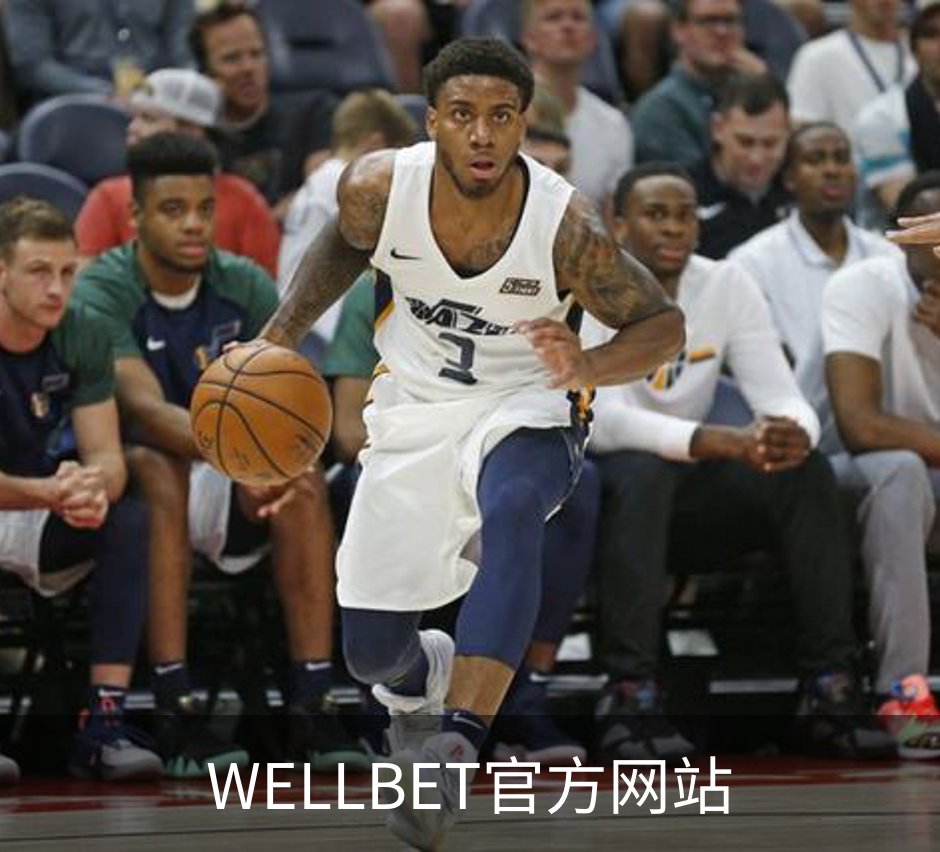 关于WELLBET官方网站